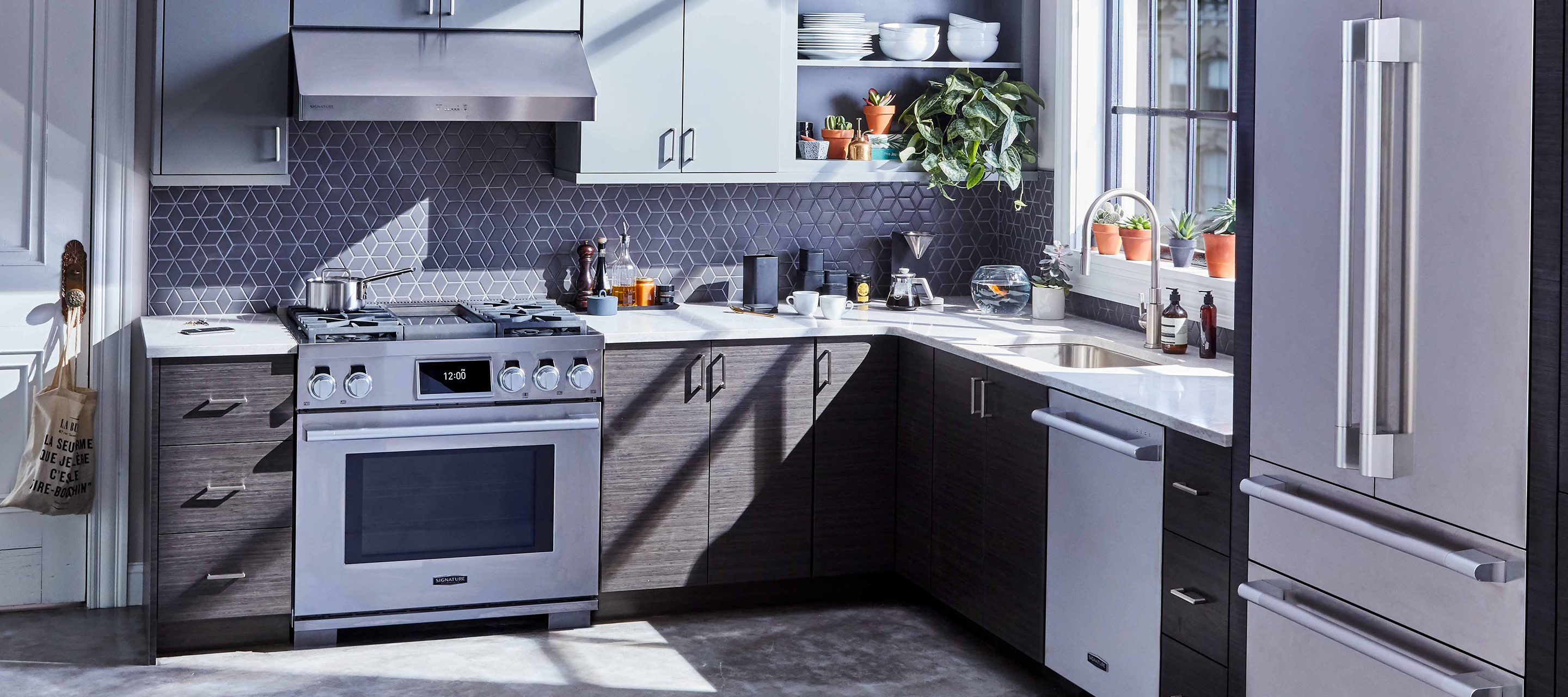 36" Dual Fuel Stainless Pro Gas & Induction Range & Designer Kitchen Appliances by Signature Kitchen Suite